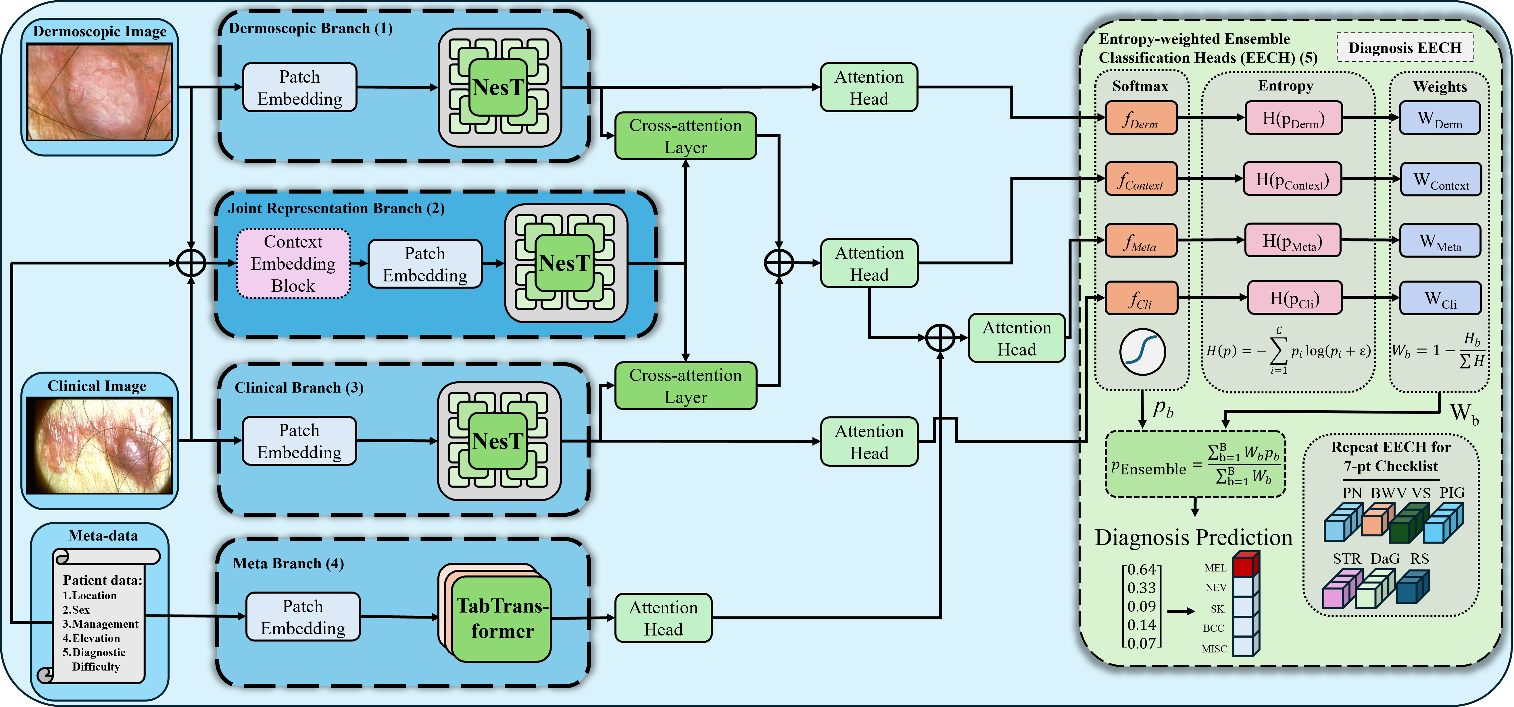 DermFormer architecture diagram showing four parallel branches (Dermoscopic, Joint Representation, Clinical, Meta) with cross-attention fusion and entropy-weighted ensemble classification heads.