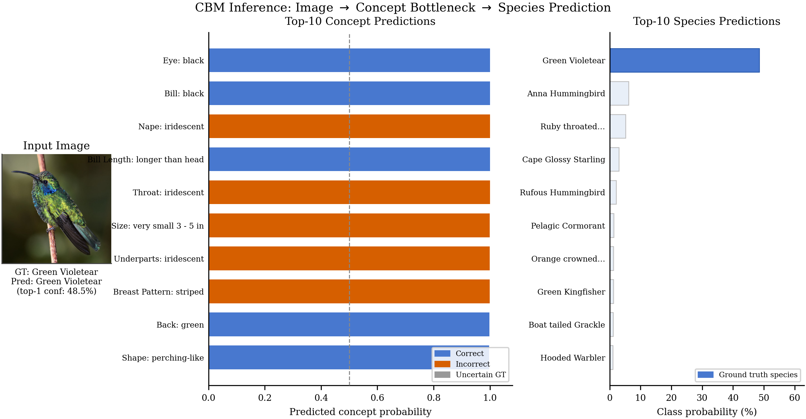 CBM inference: concept bottleneck prediction panel