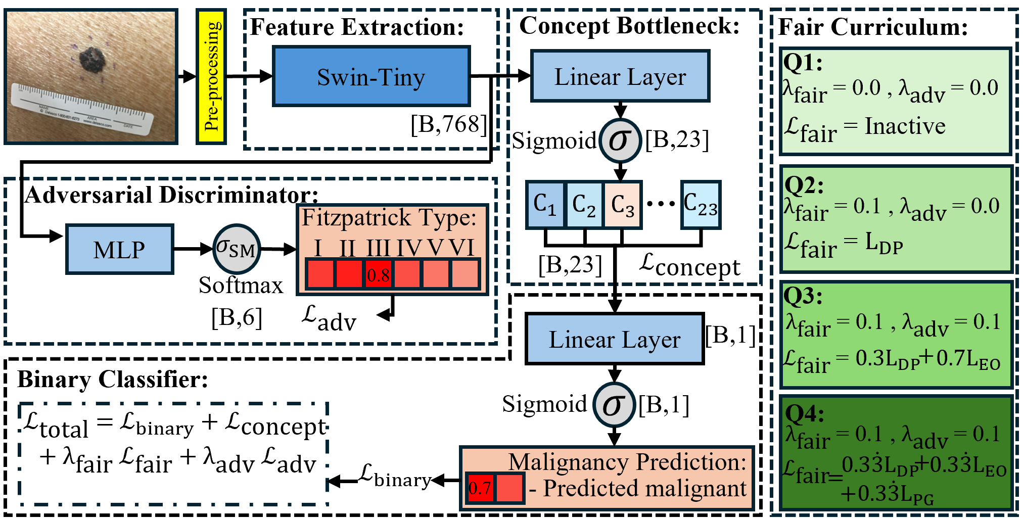 FairCBM Architecture and Four-Phase Curriculum