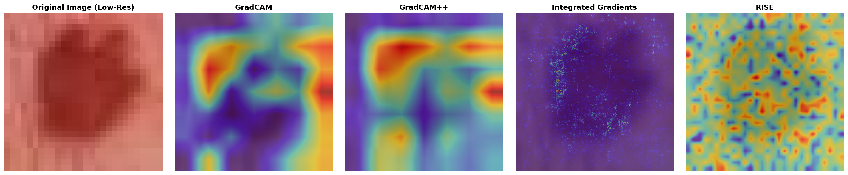 DermaMNIST Comparison