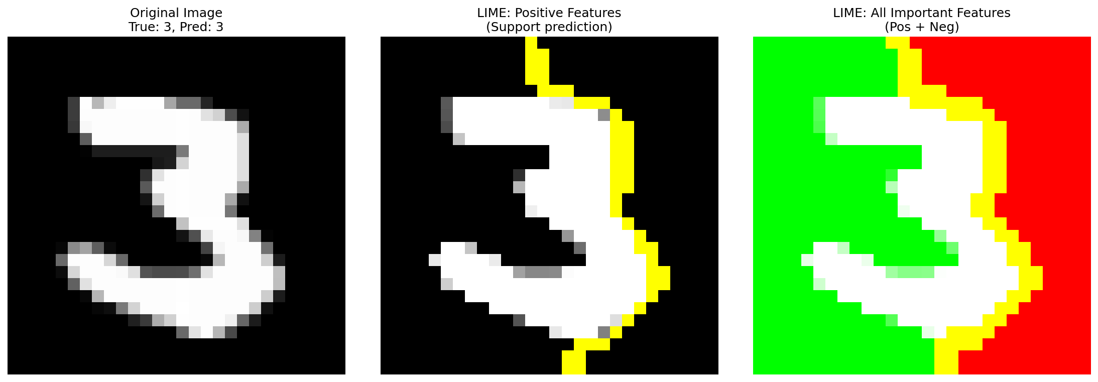 LIME Analysis